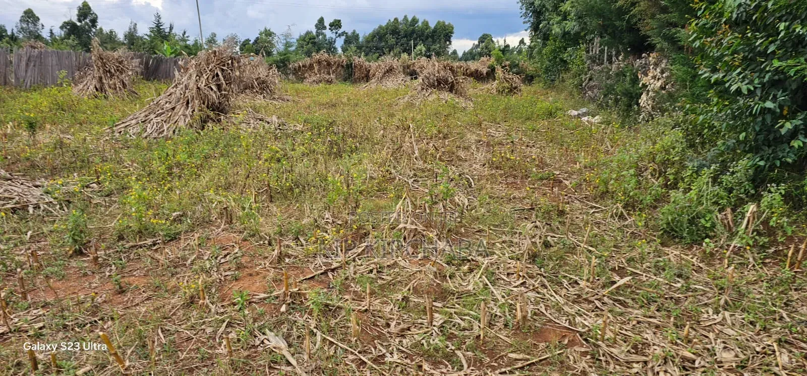1⁄4 Plot For Sale In Kiplombe Eldoret