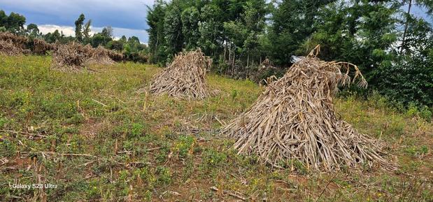 1⁄4 Plot For Sale In Kiplombe Eldoret - thumbnail 3