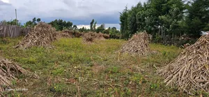 1⁄4 Plot For Sale In Kiplombe Eldoret