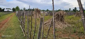 1⁄4 Plot For Sale In Kiplombe Eldoret