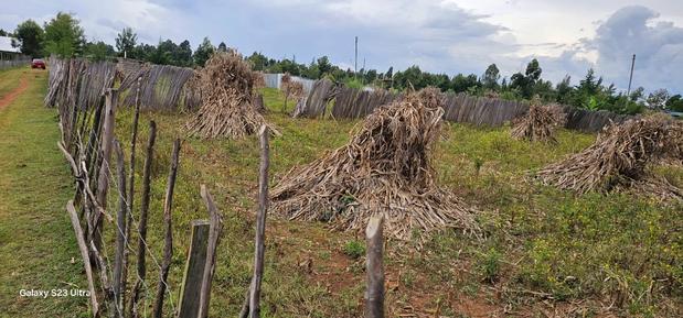 1⁄4 Plot For Sale In Kiplombe Eldoret - thumbnail 7