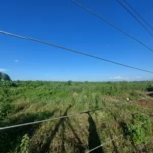 Zuri Springs - Serviced and Unserviced Plots