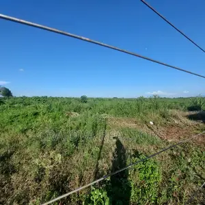 Zuri Springs - Serviced and Unserviced Plots