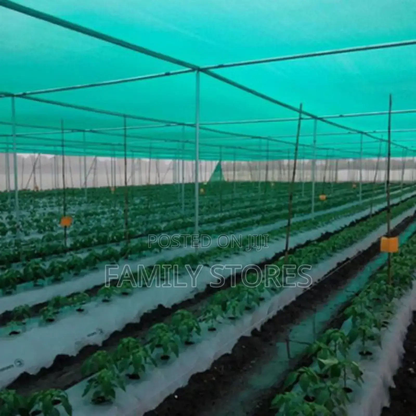55% Greenhouse Shading