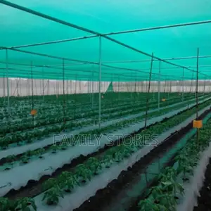 55% Greenhouse Shading