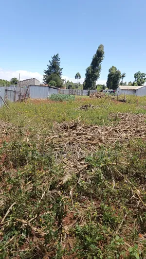 1/4 Plot Kimumu Chebarus With Title
