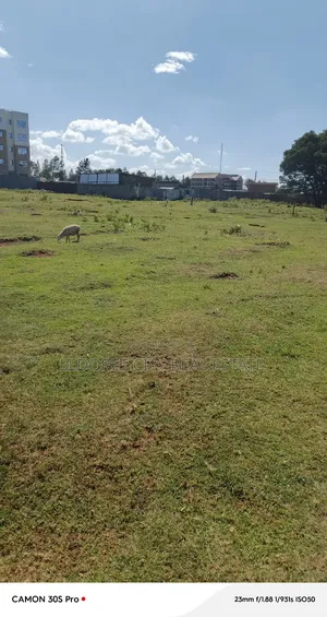 1/4 Plot Annex With Title