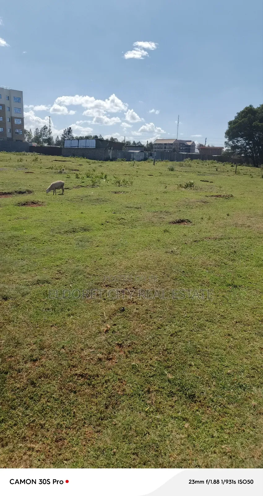 1/4 Plot Annex With Title
