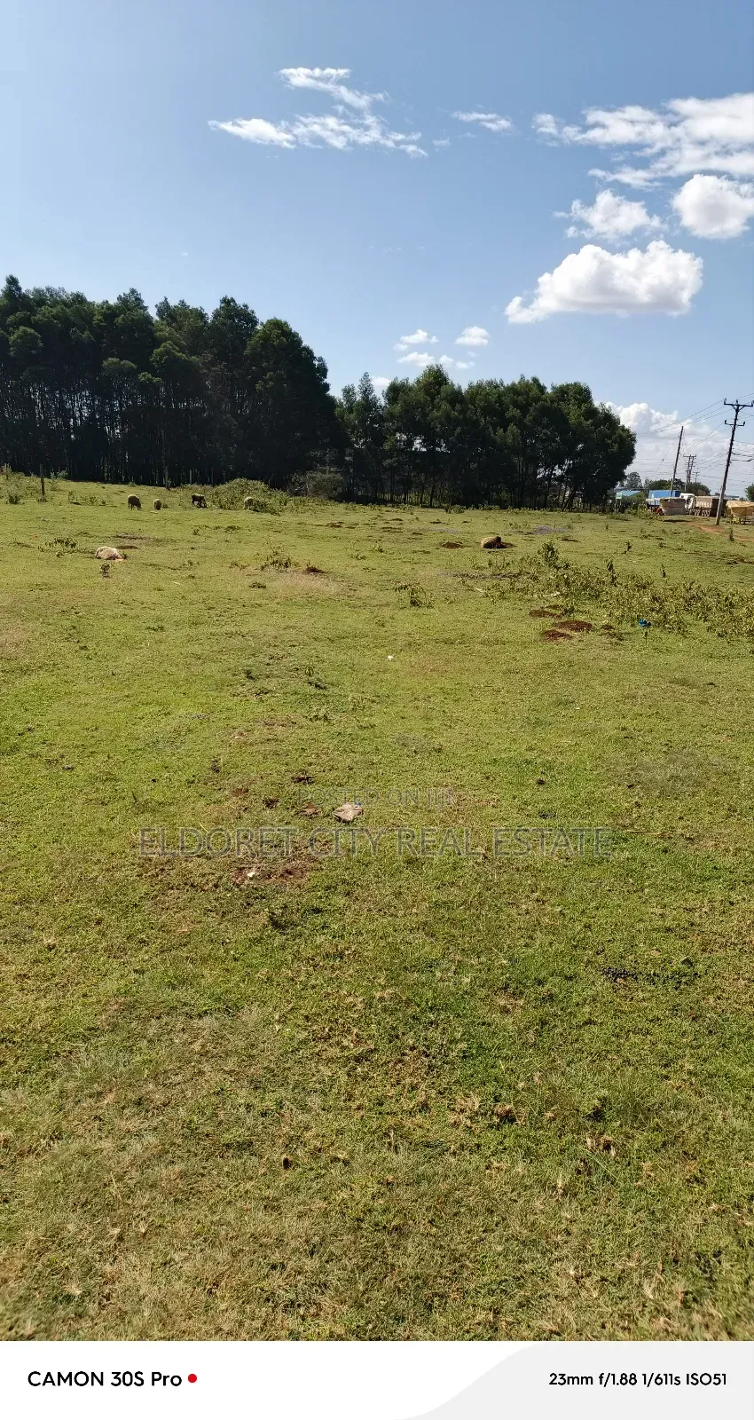 1/4 Plot Annex With Title