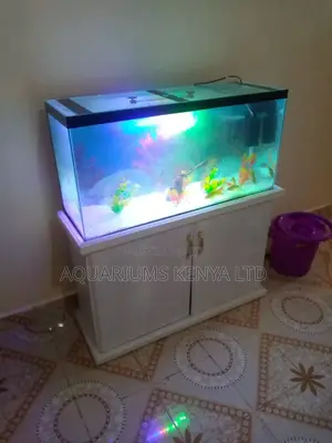 Aquarium Stand , Glass Aquarium and Beauty Fish