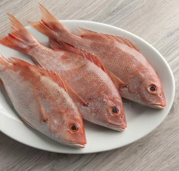 Red Snapper - main view