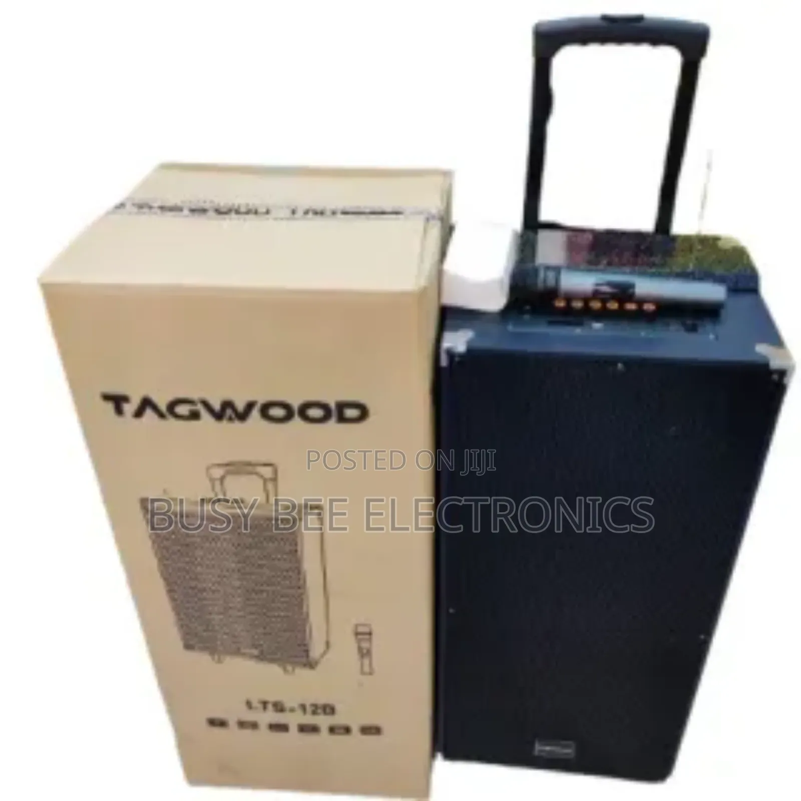 Single Microphone Tagwood Powered Speaker