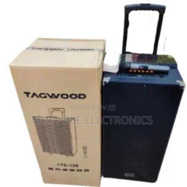 Single Microphone Tagwood Powered Speaker - main view