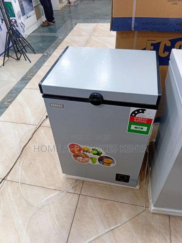 109 Silver Deep Freezer Ecomax - main view