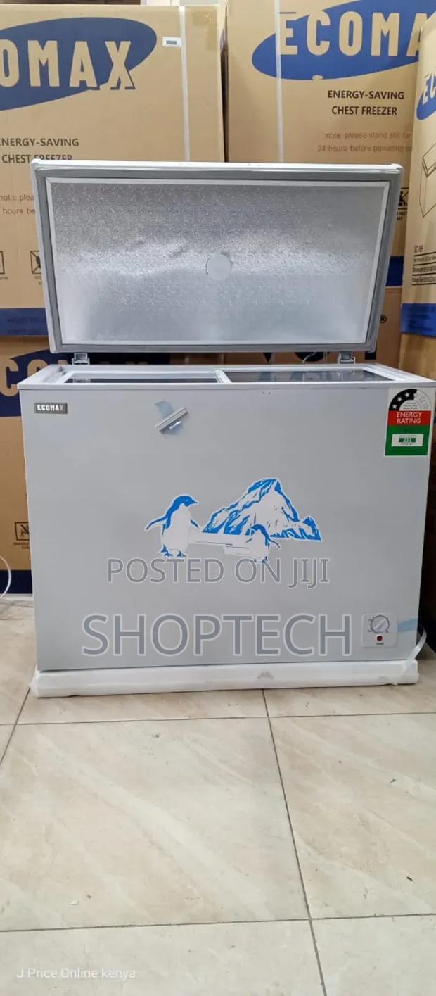 Ecomax 219litres Chest Freezer BD-219