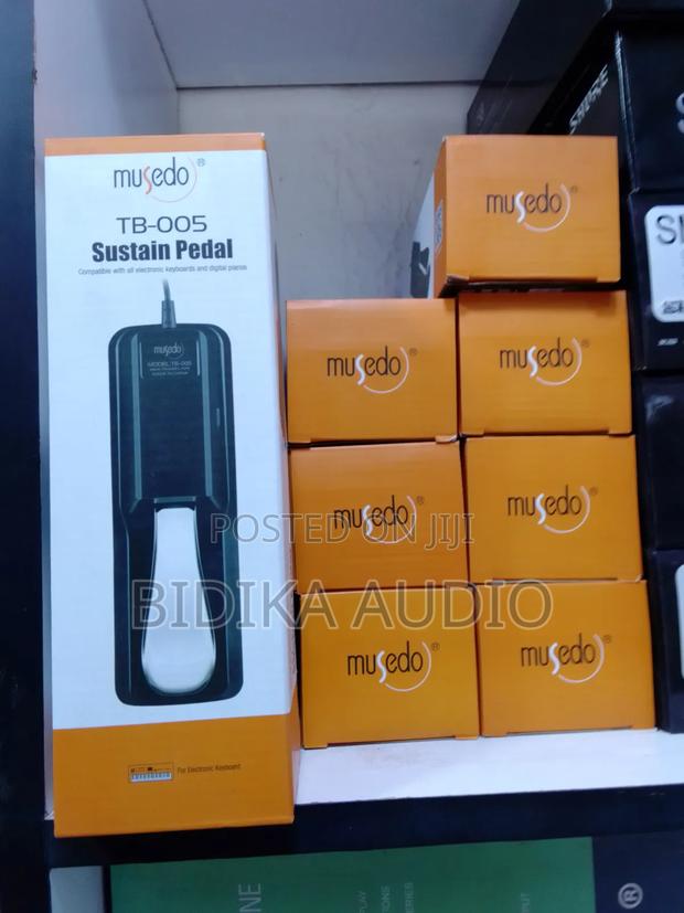 TPS Musedo Sustain Pedal - main view