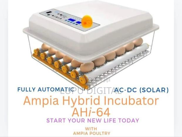 Chicken Brooder 64 Eggs - main view