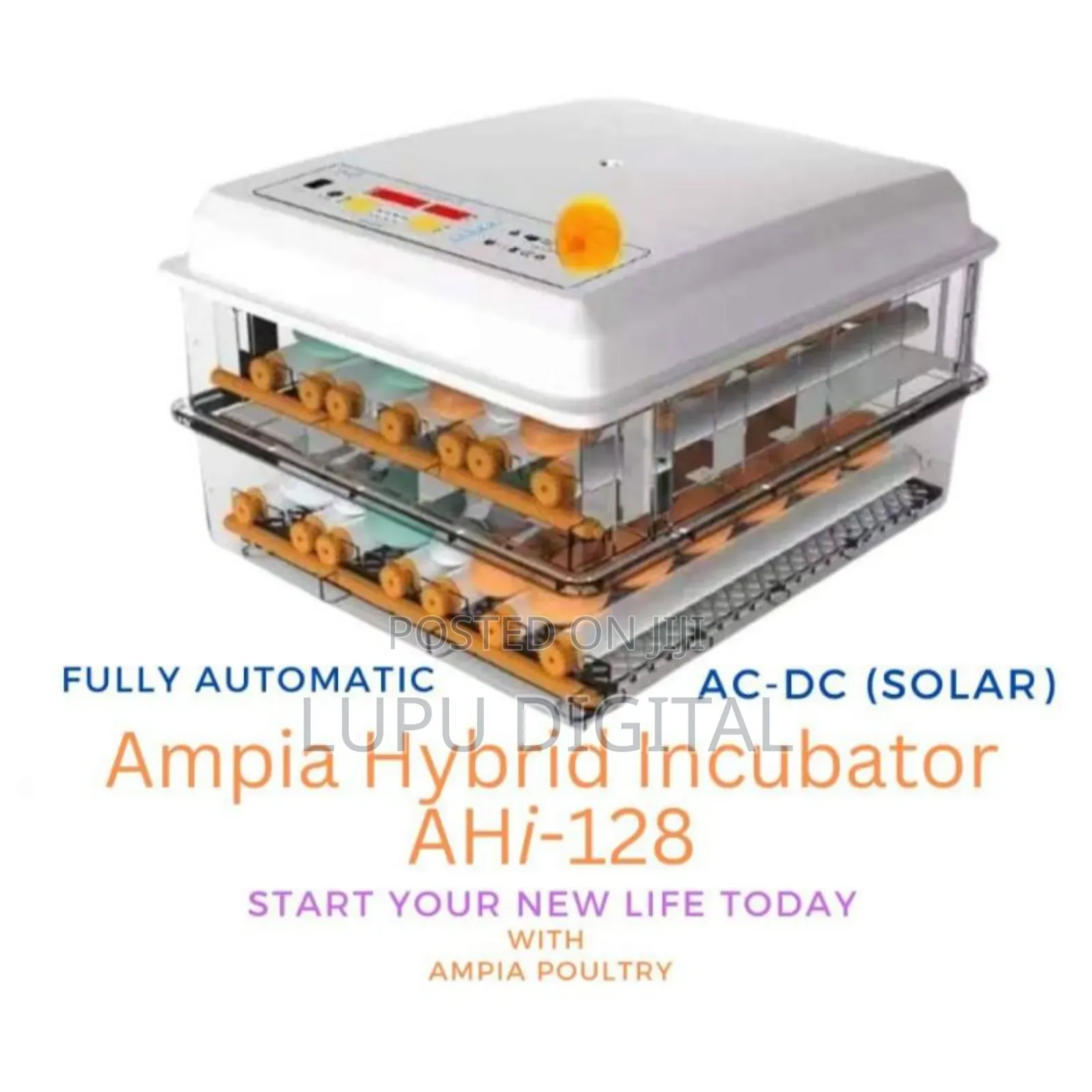 Ampia Chicken Brooder 128 Chicks