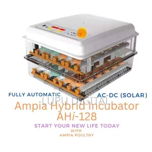 Ampia Chicken Brooder 128 Chicks