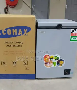Silver Ecomax 109 Litres Chest Deep Freezer EC-109LF