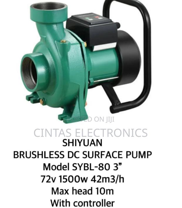Shiyuan DC Surface Water Pump 10m ,1500w