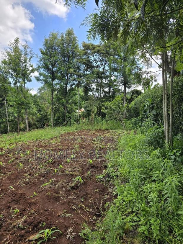 Residential Quarter Acre Plot in Kahara Rd, Ngong. Red Soil - thumbnail 3