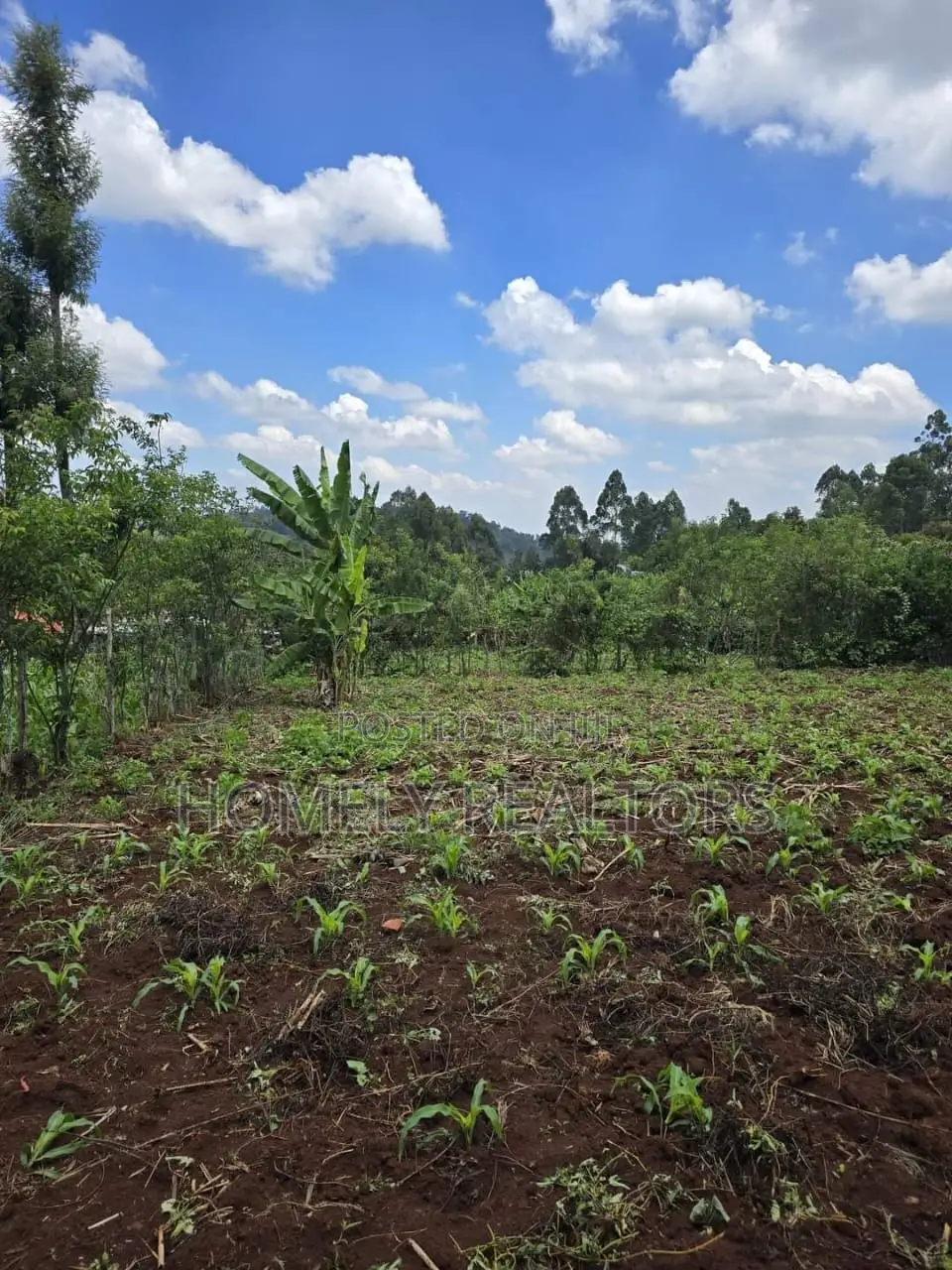 Residential Quarter Acre Plot in Kahara Rd, Ngong. Red Soil