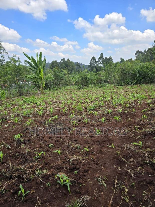 Residential Quarter Acre Plot in Kahara Rd, Ngong. Red Soil - main view