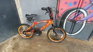 Flames Ex US Bike