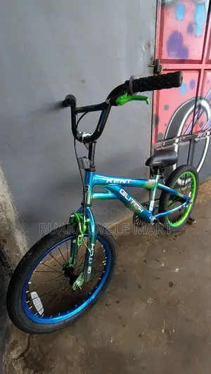 BMX Size 18 With Various Colours Painting