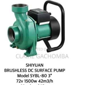 SHIYUAN Brushless DC Surface Pump SYBL-80 3"