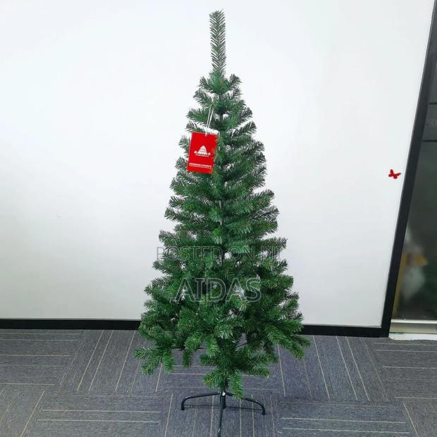 Cyprus Christmas Tress - thumbnail 2
