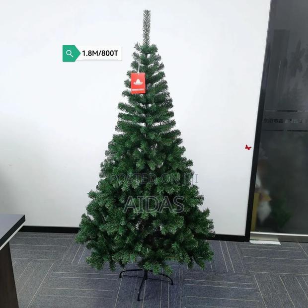 Cyprus Christmas Tress - thumbnail 3