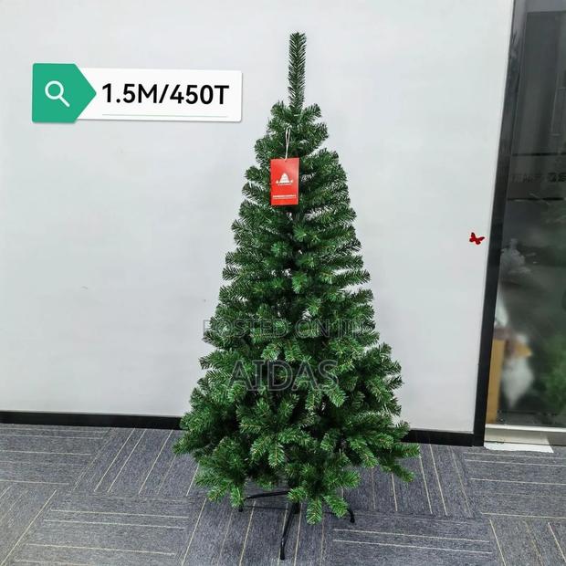 Cyprus Christmas Tress - thumbnail 4