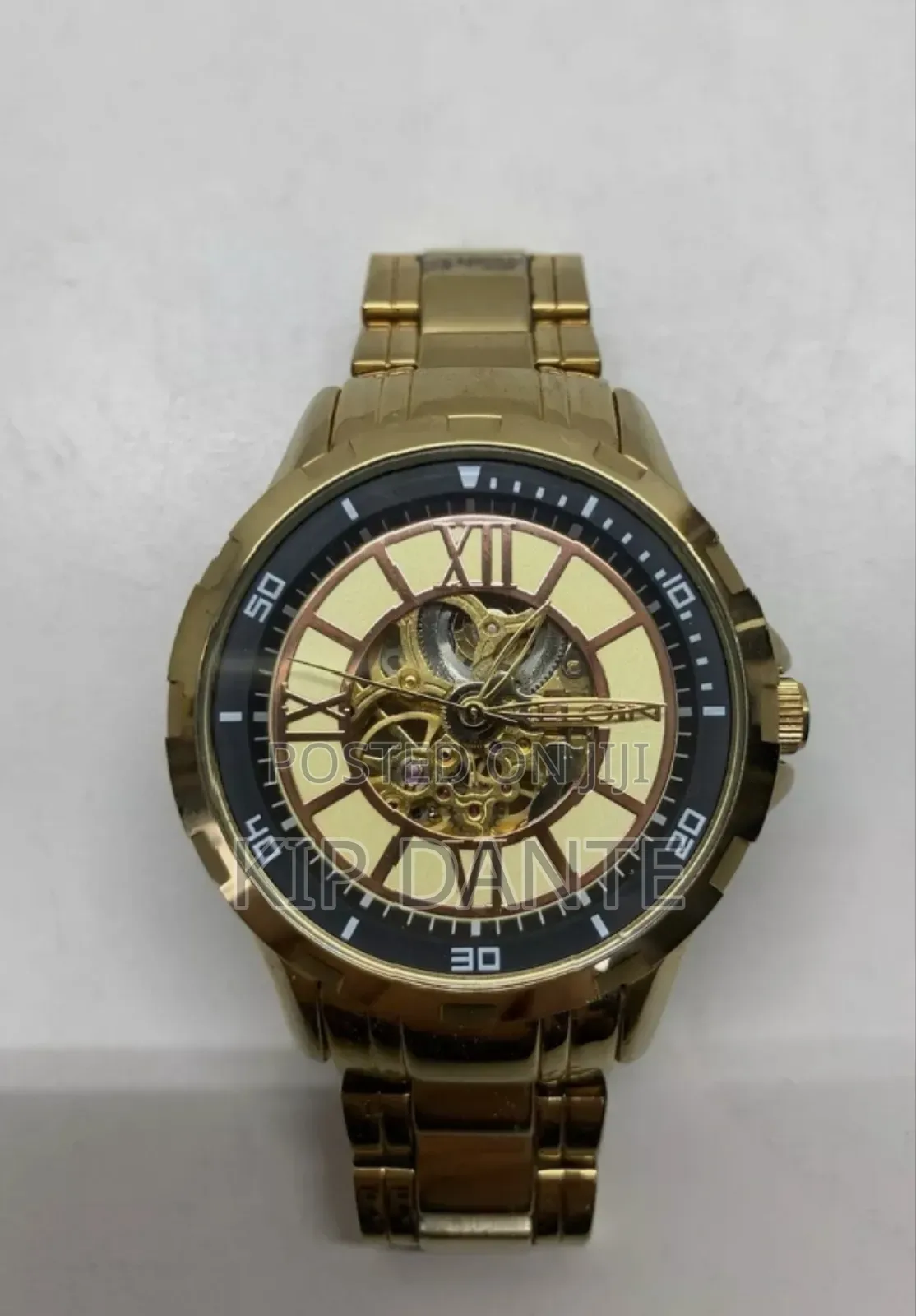 Elgin Auto Chronograph Skeleton Stainless Steel Watch
