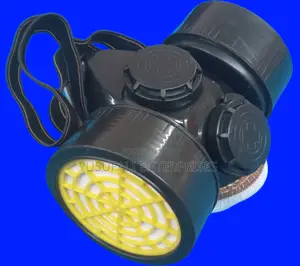 Respiratory Chemical Mask Np306 Double Respirator Wholesale.