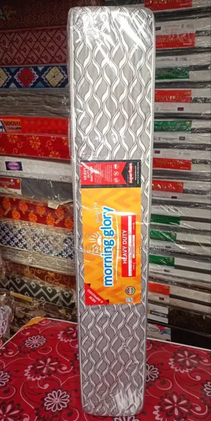 Mattress 4*6*8inch Quilted Morning Glory High Density