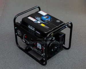 1000W Generator