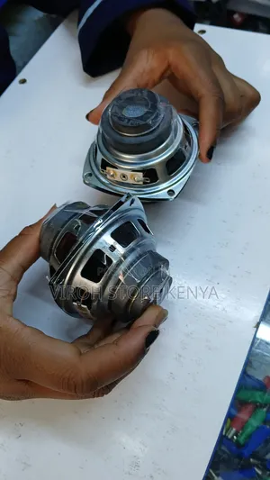 2pcs 10watts 10W Speaker Radio and DYI Projects Speaker