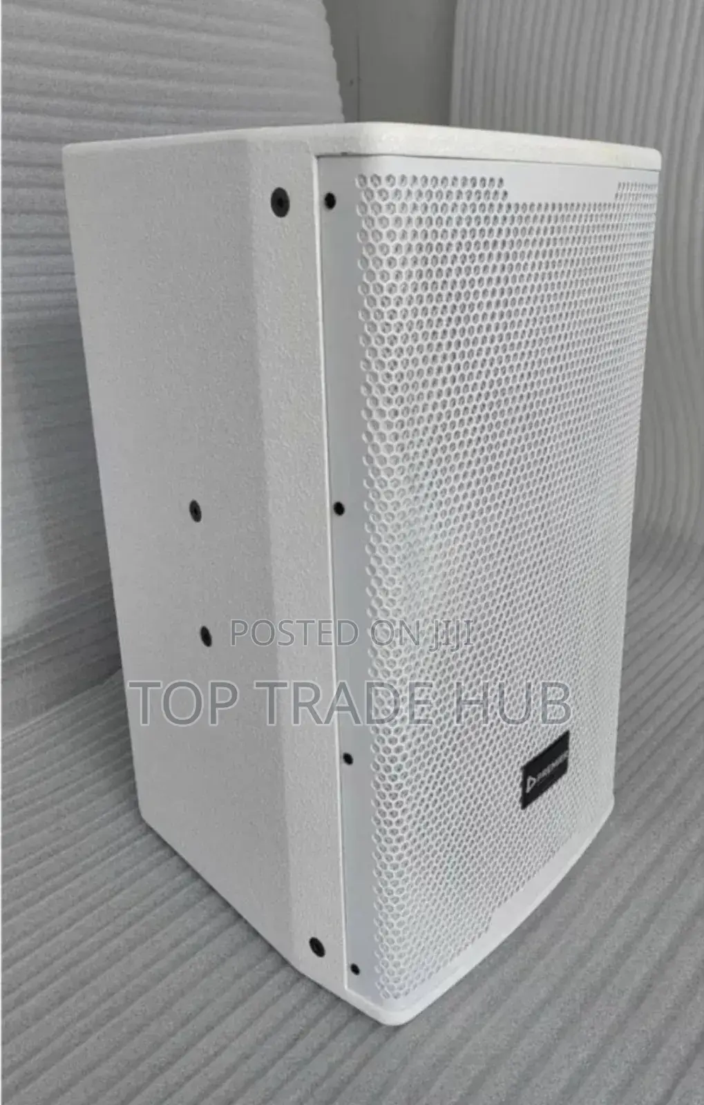 Latest Premier 6012 12inch White Wooden Speaker