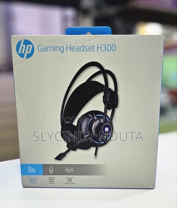 Hp Gaming Headset H300 - main view