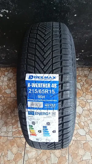 215/65r15 Delmax Tires Made in China