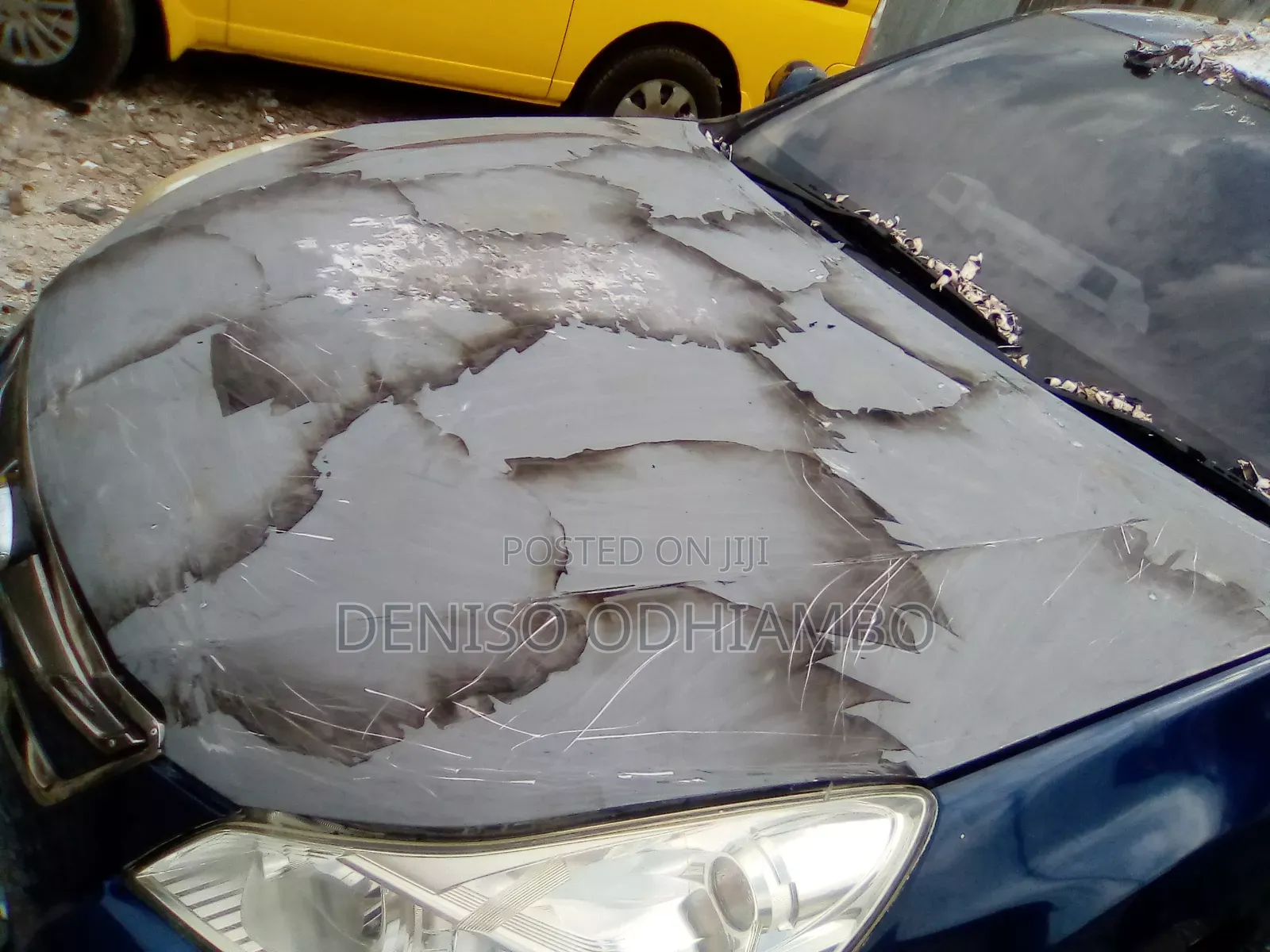 Vehicle Body Repair/Maintenance