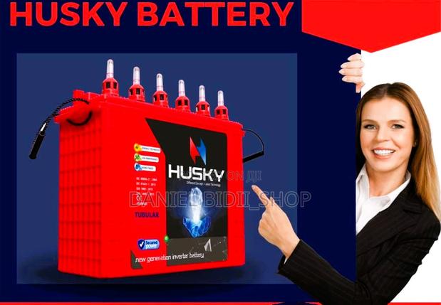 India 200ah Tall Tubular Battery - main view