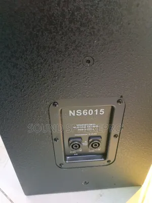 Aone NS6015 15 Inch Wooden Speaker