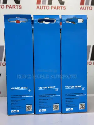 Victor Reinz Reinzosil RTV Silicone -70 Ml Tube