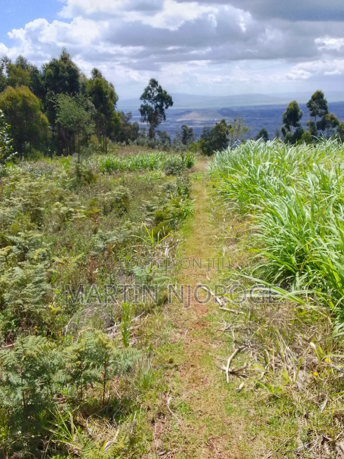 1.7 Acres Kijabe, Lari