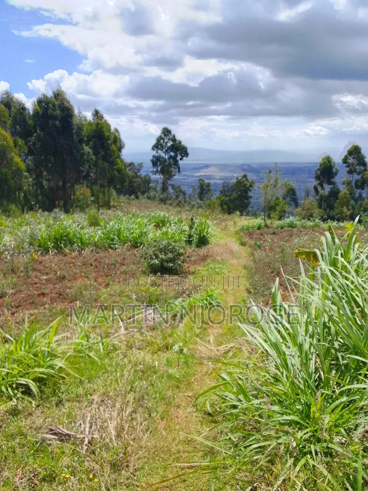 1.7 Acres Kijabe, Lari