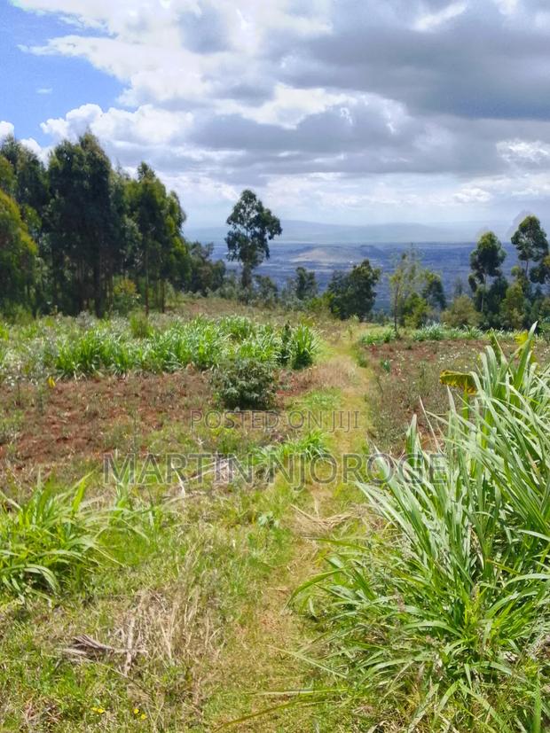 1.7 Acres Kijabe, Lari - thumbnail 7