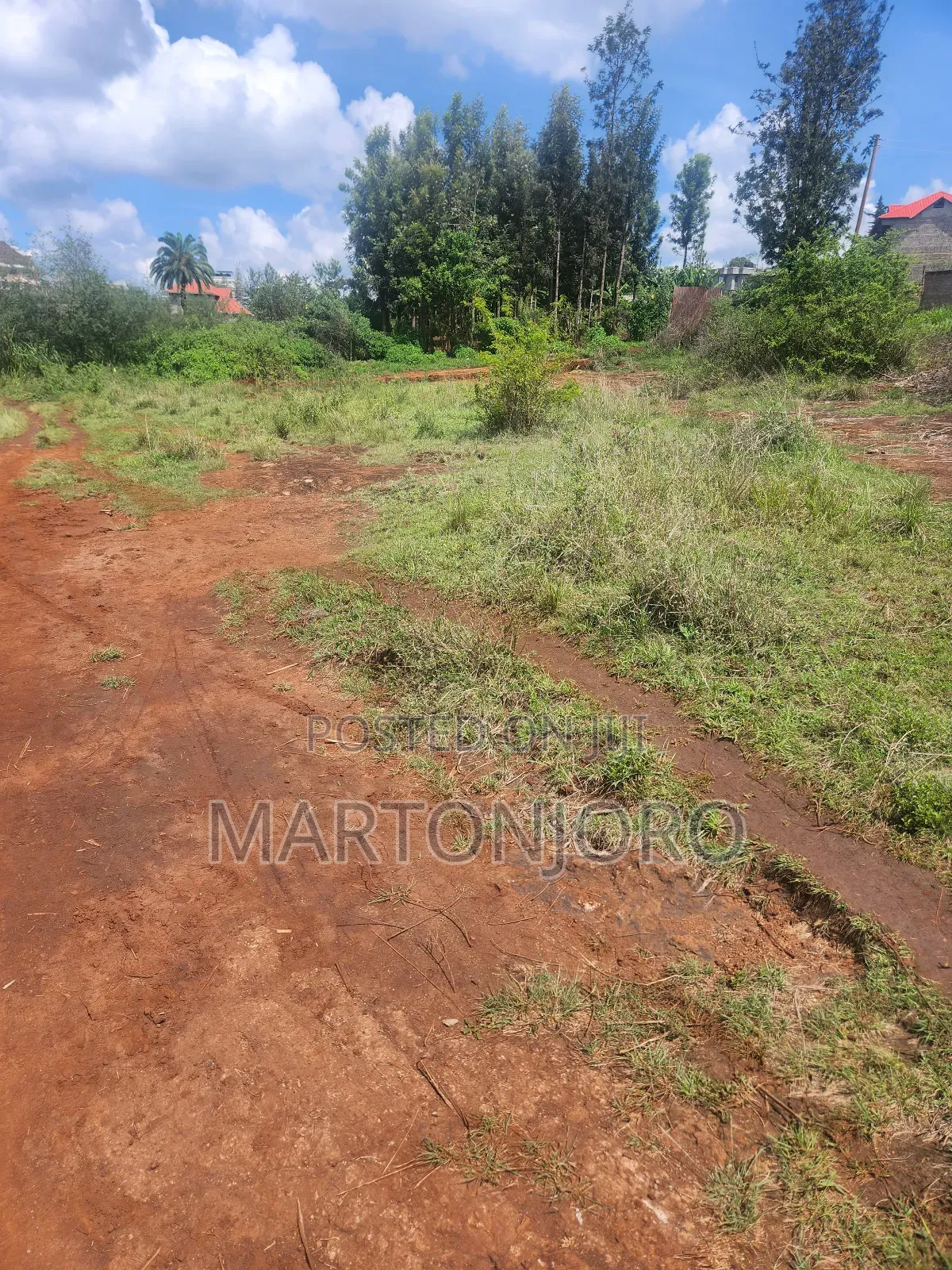 100# 100 in Thika Kigajo